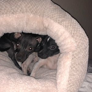 Meet your Posher, Rebeca